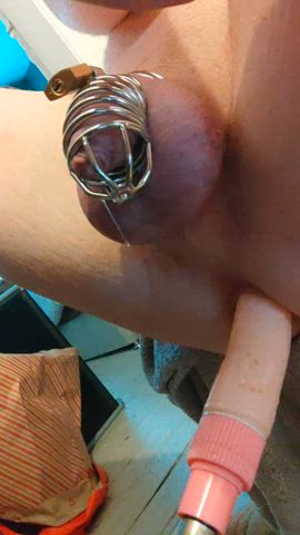 Am I good sissy slut