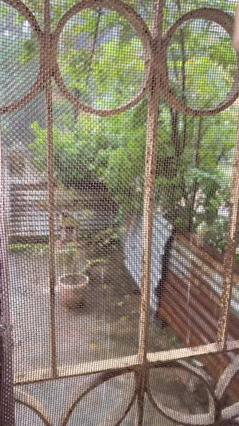 It’s raining cats and dogs and the weather made me a bit horny 🙈