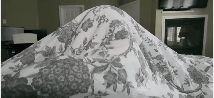 blowjob sloppy sucking blowjobs gif