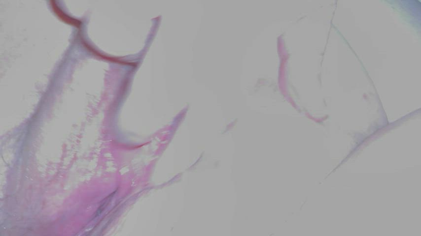 couch sex fingering squirt gif