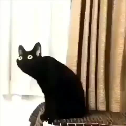 Long boi