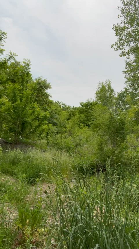 I took my cock out in a vacant lot in the middle of my city