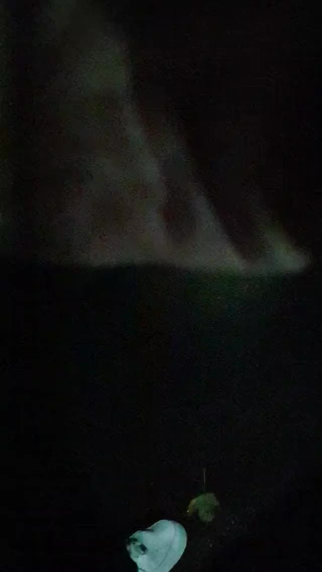 Little Night Road Flash