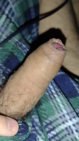 Anyone dm me it