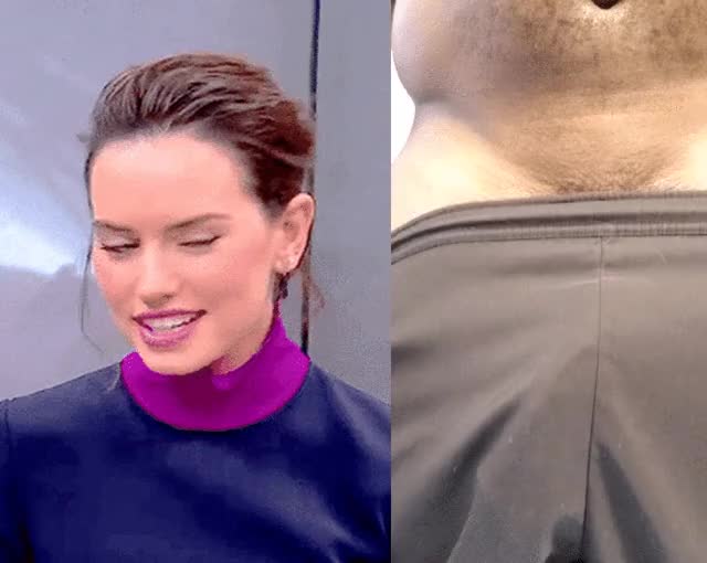 Daisy BBC