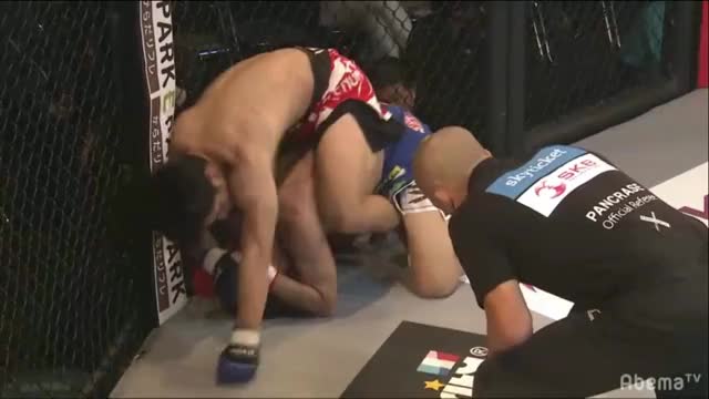 Pancrase301, Ryo Iseki TKO Junichi Hirata