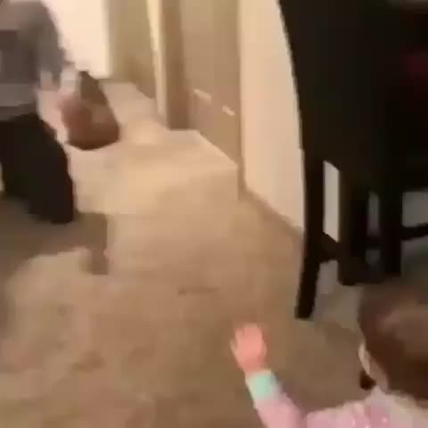 What's in the bag?