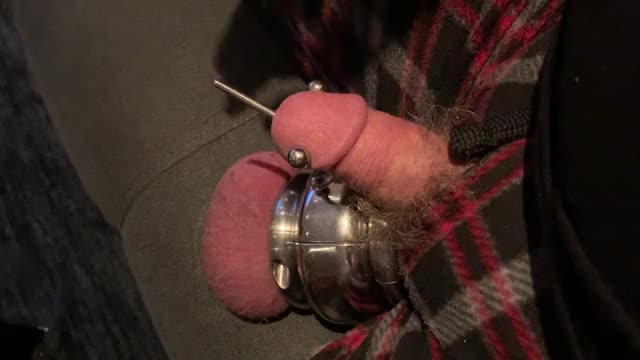 IMG 2948