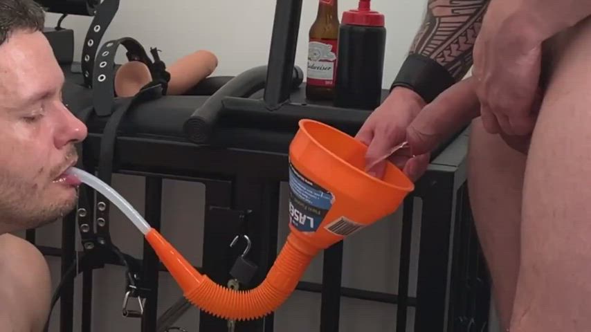 forced gay piss gif