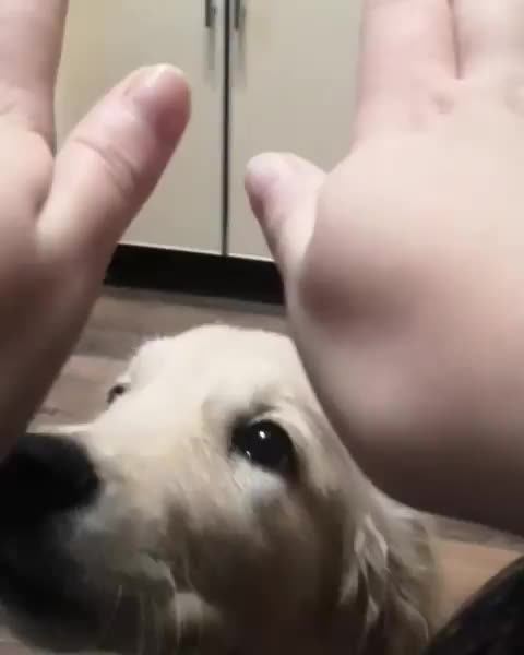 Come Play With Me??