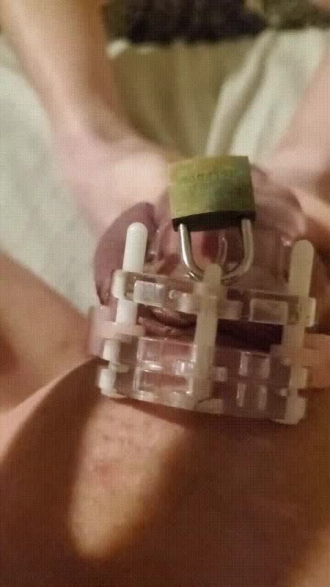 Gif 1608445344514