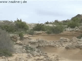 Runnin' the Rocks