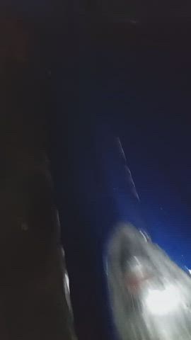 oink you dirty fuck pig!!