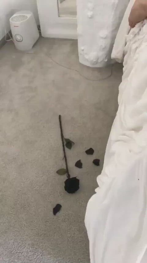 amanda cerny model underwear gif