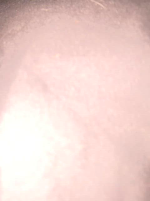 bbw cbt chastity non-binary gif