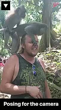 monkeys had a good time on a man's head