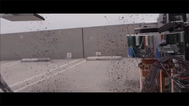 Antman and the wasp