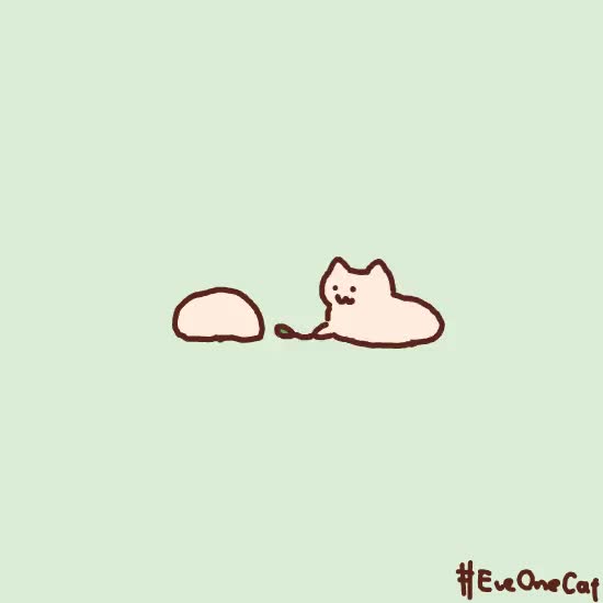 https://twitter.com/motions_cat/status/1042393019914182657