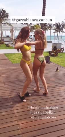 Brighton Sharbino