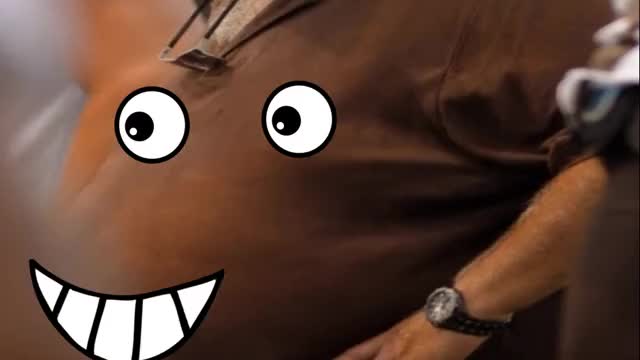 What have I done