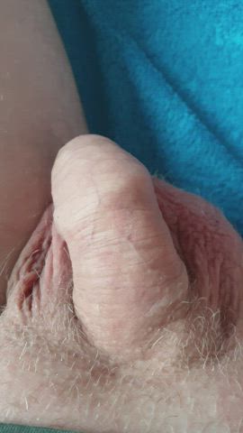 (43) slowly growing.