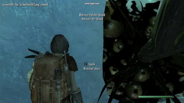 Skyrim Special Edition