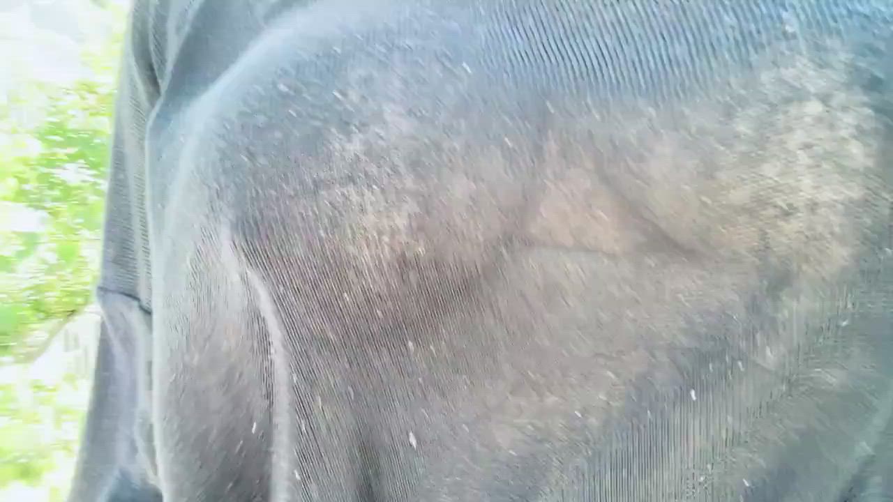 Asian Korean Public Solo gif