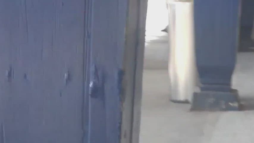 amateur sex voyeur gif