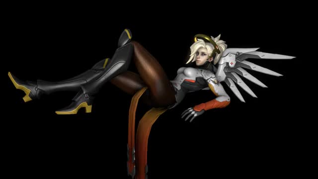 Mercy Anim Test