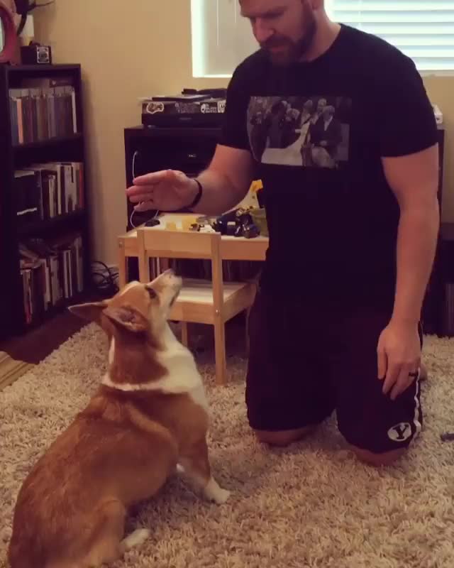 T W I S T E R B O Y E