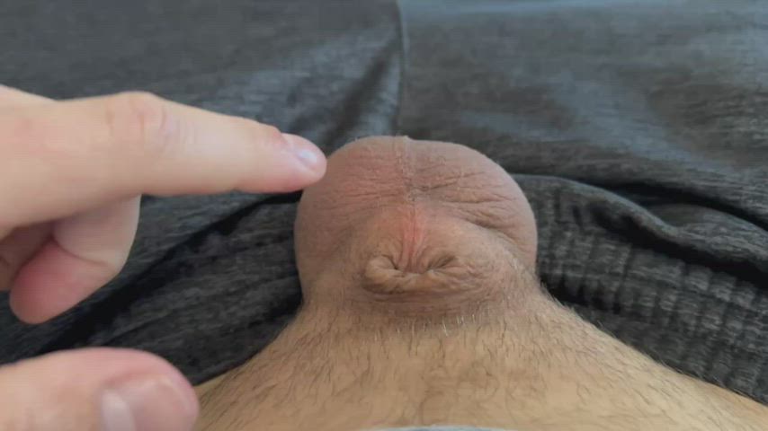 big dick cock cuckold extra small humiliation jerk off micropenis solo tiny gif