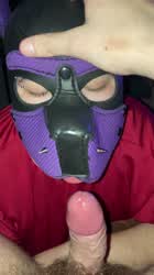 This pup’s favourite treat 🍆 (19 ftm and 20 m)