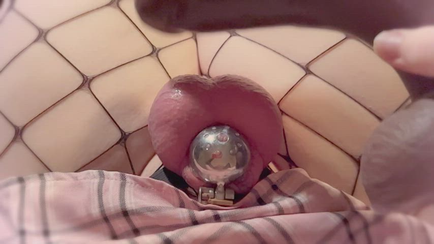 bbc ballbusting cbt chastity dildo fishnet sissy thighs gif