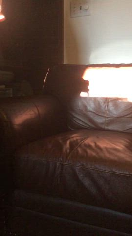 amateur male masturbation masturbating gif
