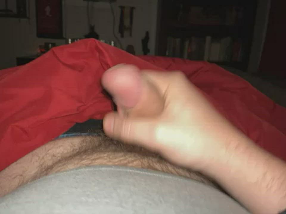 Big Dick Hairy Jerk Off gif