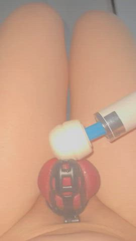 chastity cuckold sissy sissy slut gif