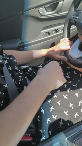 Would I be allowed in your car?