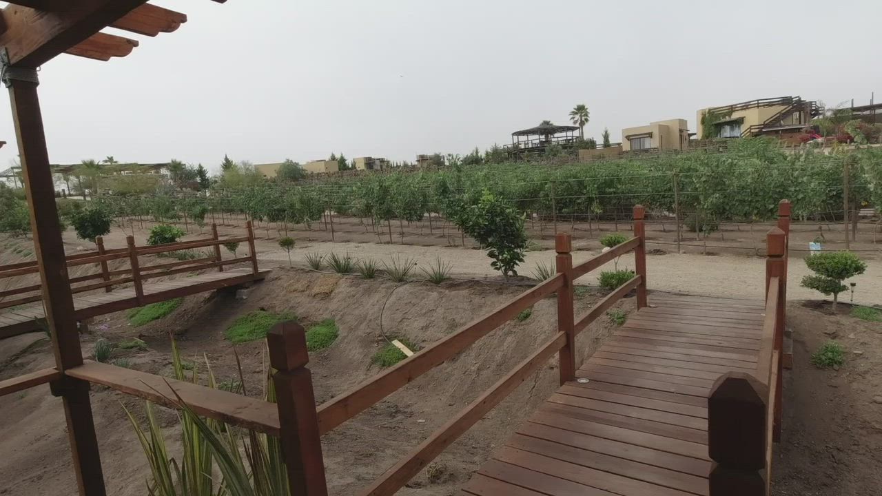 Fun at a winery hotel with the door open. [m] [f]