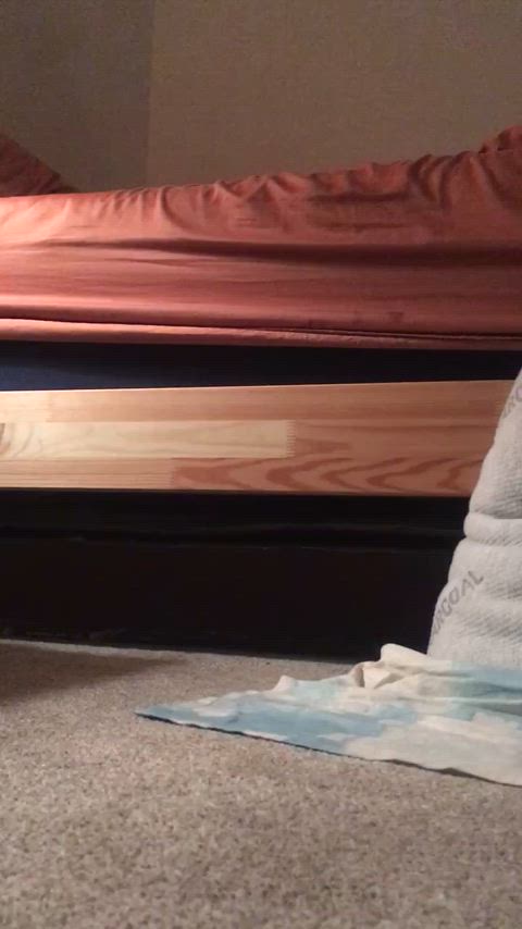 cock pillow humping precum gif