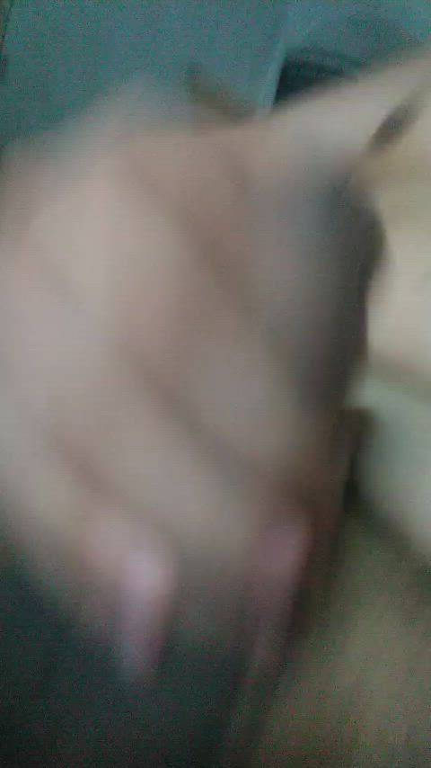 asian asian cock small cock gif