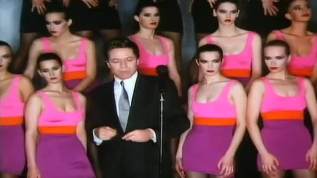 Robert Palmer   Simply Irresistible