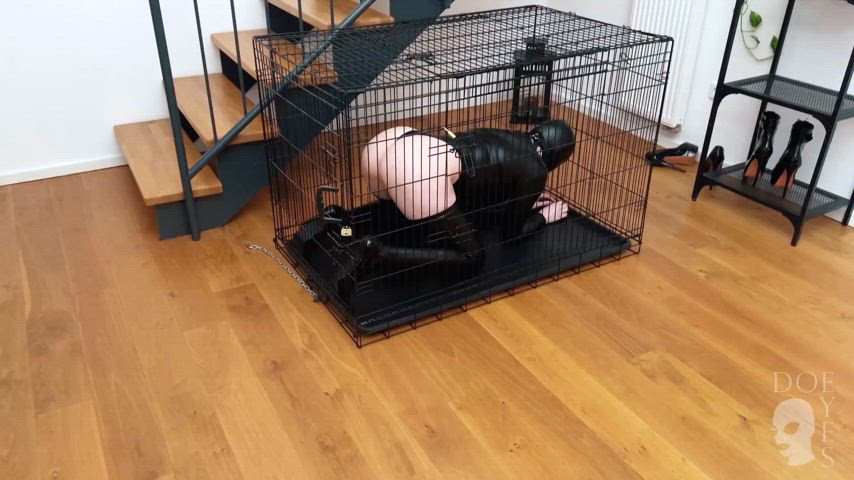 After spending some time in my cage I was released to be shortly fucked but then