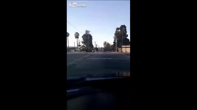Guy gets obliterated by a train