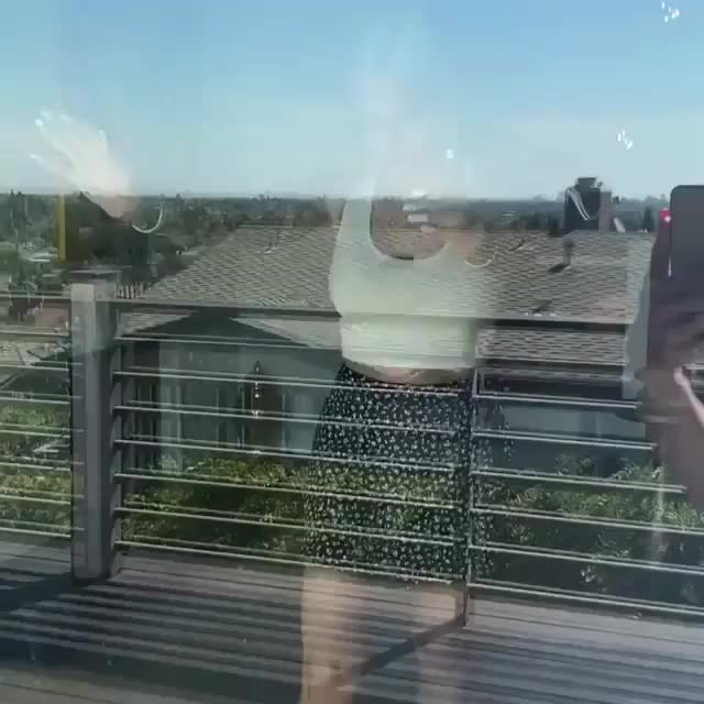 Ass