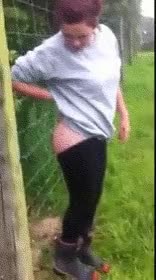 Electric Fence