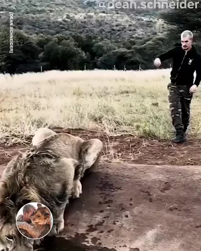 This guy has balls of steel ??