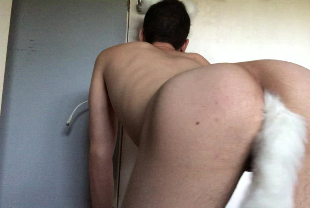 Sometimes I’m just a horny little fox begging for attention