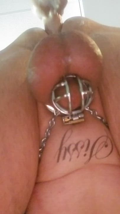 Chastity Fucking Machine Pegging gif
