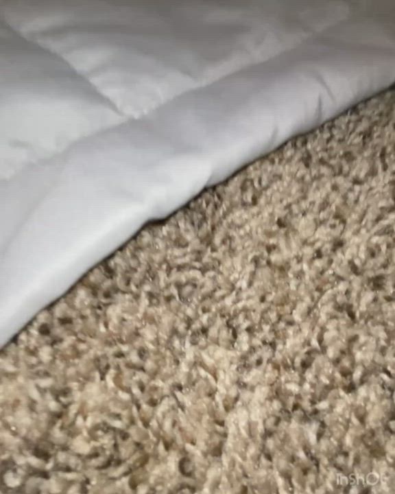 video available for purchase! Dm if interested! 10 minutes long, two BBC fucking