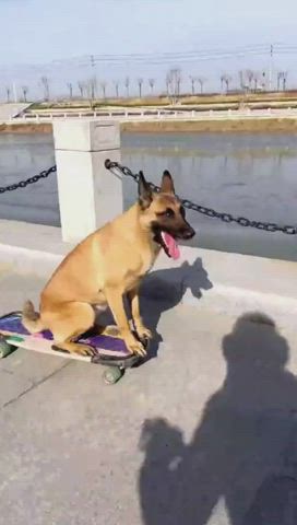 he´s so smart and funny at the same time😆